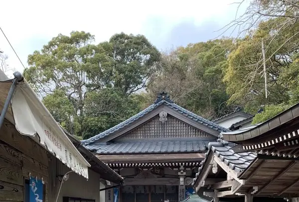 大善寺の写真・動画_image_540206