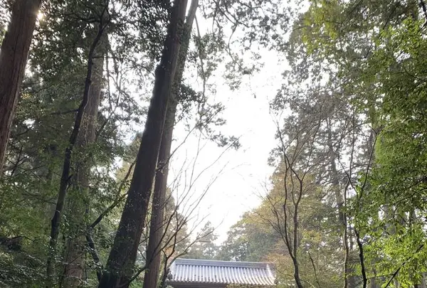 西山興隆寺の写真・動画_image_540844