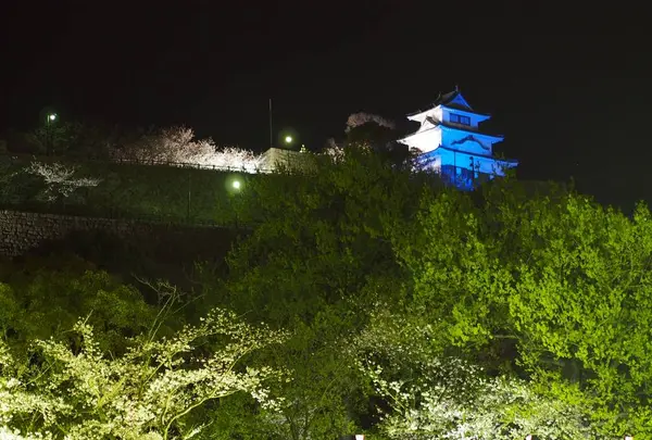 丸亀城の写真・動画_image_544141