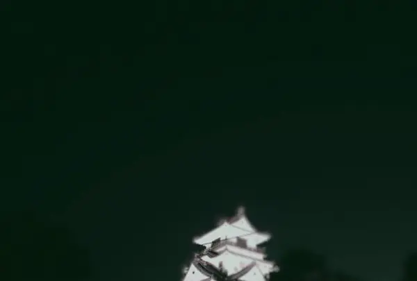 高知城の写真・動画_image_546759