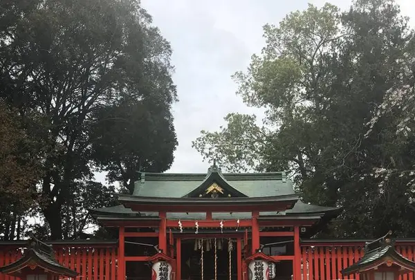 馬橋稲荷神社の写真・動画_image_548112