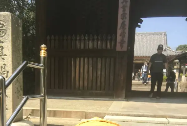 屋島神社の写真・動画_image_555086