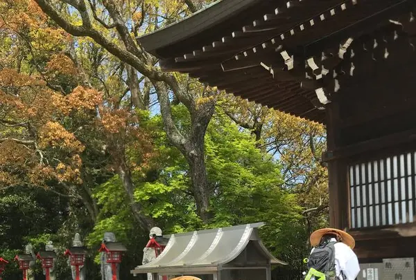 屋島神社の写真・動画_image_555091