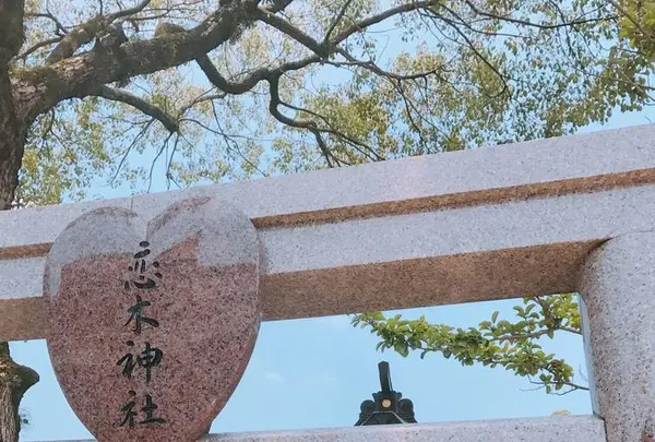 恋木神社の写真・動画_image_556772