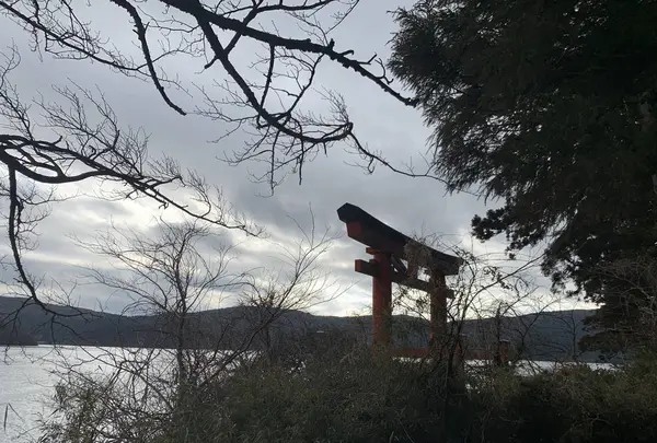 箱根神社 平和の鳥居の写真・動画_image_557441