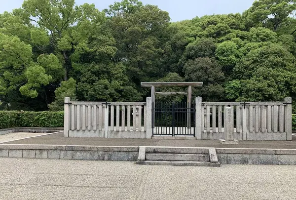 安閑天皇古市高屋丘陵の写真・動画_image_557656