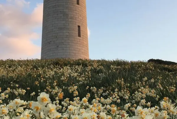 角島灯台　の写真・動画_image_558264