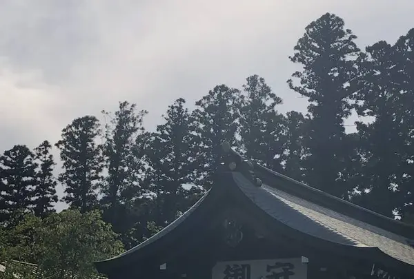 茨城県護国神社の写真・動画_image_566402