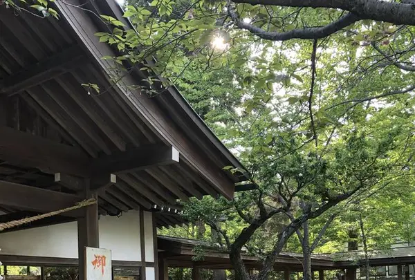 茨城県護国神社の写真・動画_image_566407