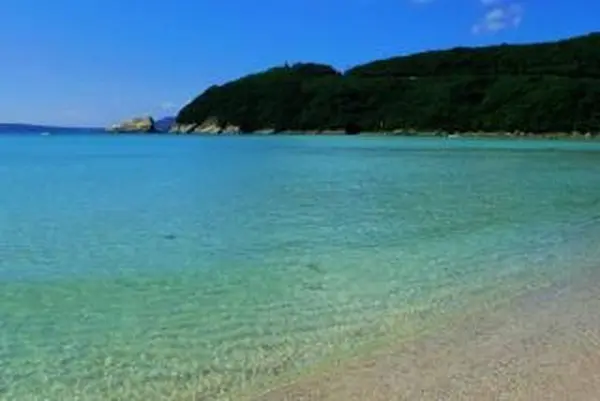 高浜海水浴場の写真・動画_image_568521
