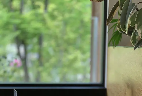 イロハーブカフェ（iroherb cafe）の写真・動画_image_568901