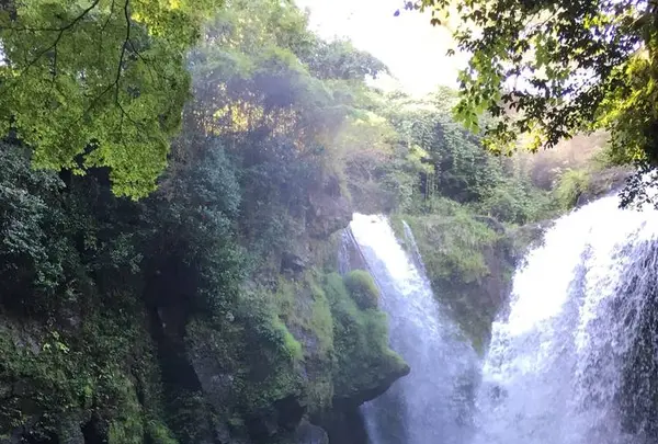黄牛の滝の写真・動画_image_570018