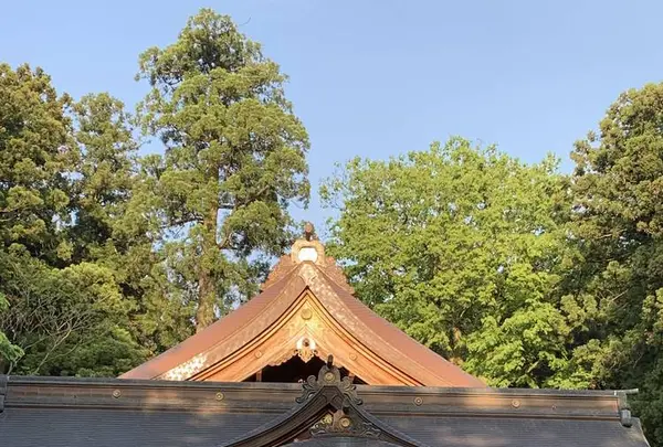 白山比咩神社の写真・動画_image_570801