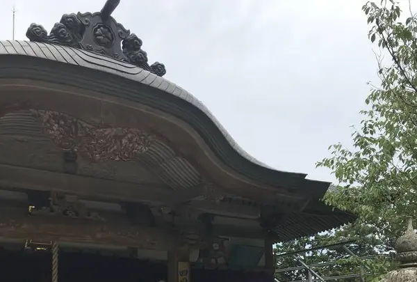 横峰寺の写真・動画_image_576651