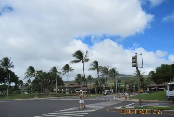 ハワイの写真・動画_image_586738