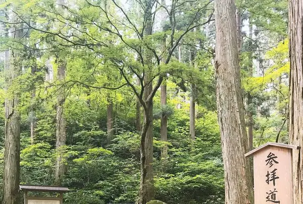 御岩神社の写真・動画_image_614532