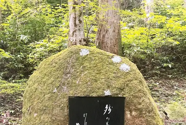 御岩神社の写真・動画_image_614534