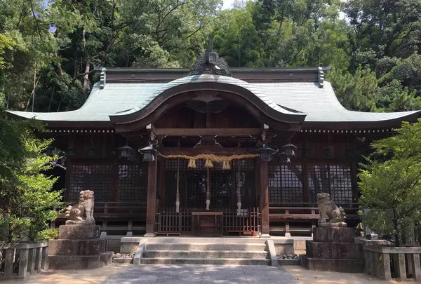 垂水神社の写真・動画_image_622088
