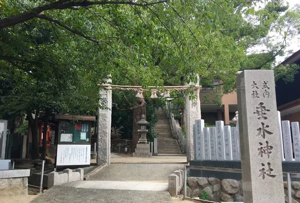 垂水神社の写真・動画_image_622089