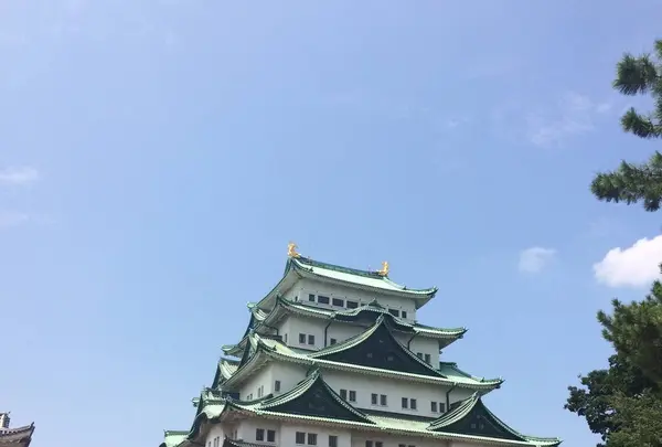 名古屋城の写真・動画_image_635458