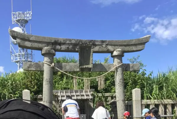 弥彦神社御神廟の写真・動画_image_635815