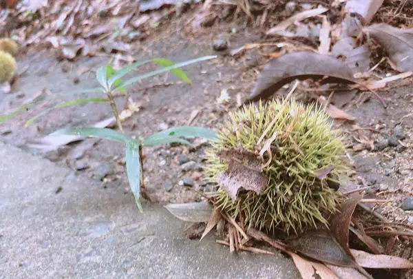 飯高山公園の写真・動画_image_636943