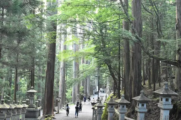 三峯神社の写真・動画_image_641571