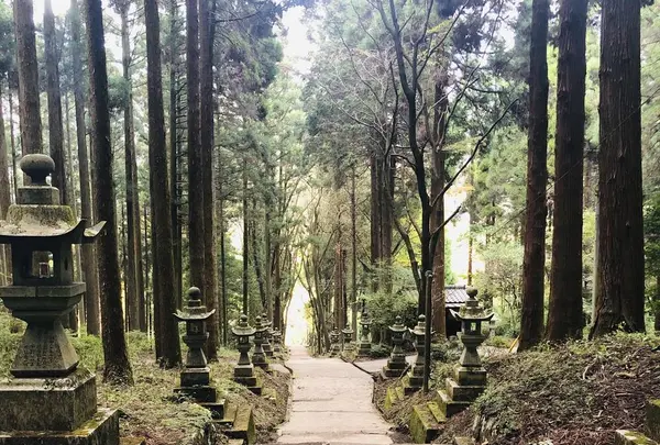 上色見熊野座神社の写真・動画_image_682239