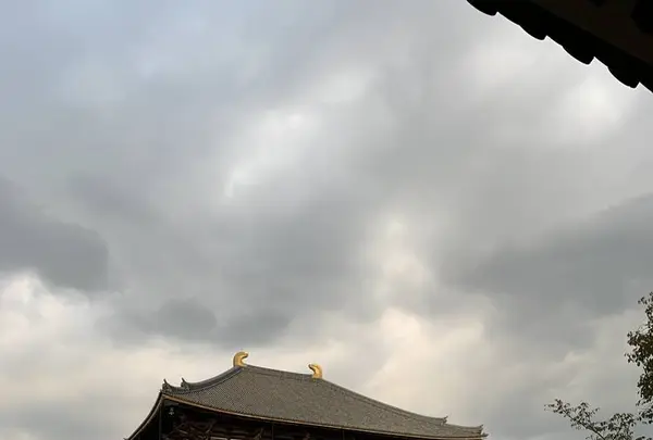 東大寺の写真・動画_image_685640