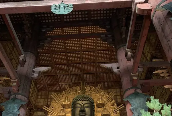 東大寺の写真・動画_image_685641
