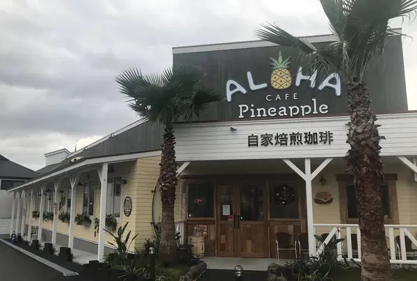 ALOHA CAFE Pineapple 宝塚店の写真・動画_image_691169