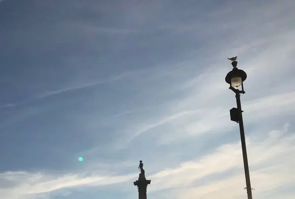 トラファルガー・スクウェア（Trafalgar Square）の写真・動画_image_704999
