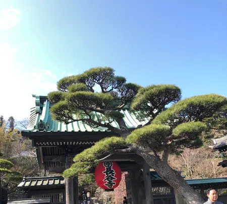 鎌倉の写真・動画_image_725997