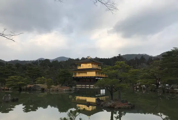 京都の写真・動画_image_732473