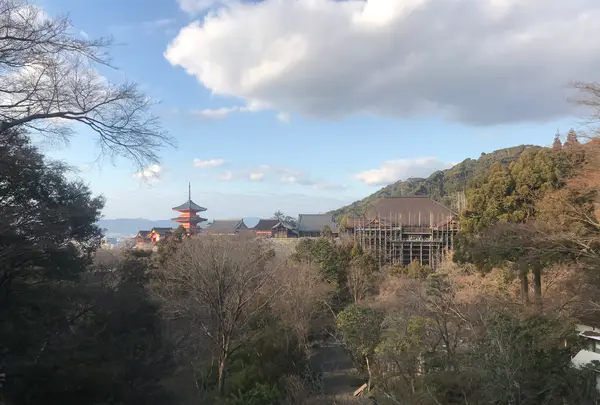 京都の写真・動画_image_732475
