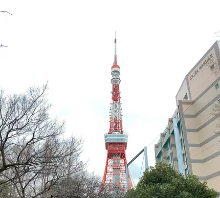 東京タワーの写真・動画_image_734124