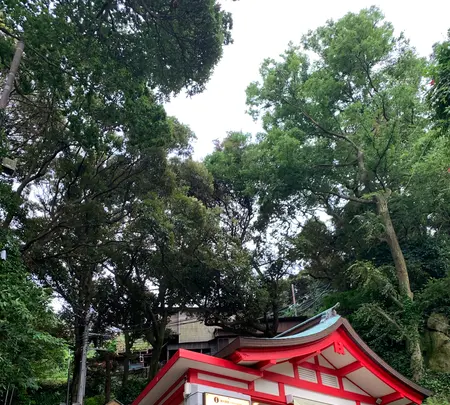 江島神社 大鳥居の写真・動画_image_773937