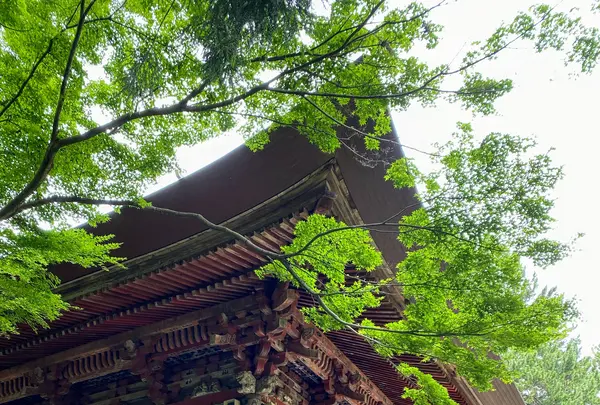 坂東二十番 西明寺の写真・動画_image_777199