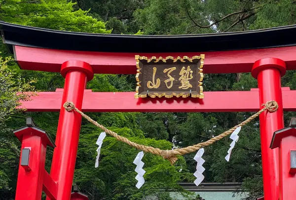 鷲子山上神社本殿の写真・動画_image_777209