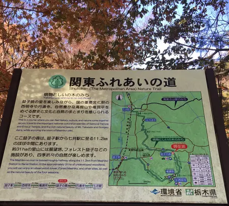 益子県立自然公園 益子の森の写真・動画_image_777240