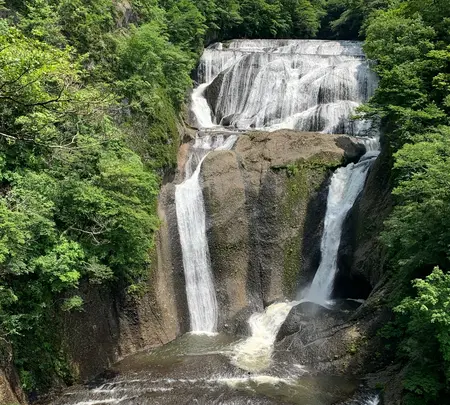袋田の滝の写真・動画_image_777271