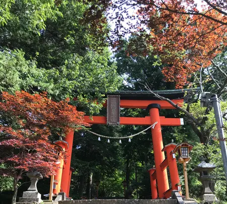 新倉富士浅間神社の写真・動画_image_786912