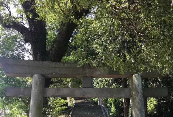 伊豆山神社の写真・動画_image_789171