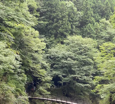 袋田の滝の写真・動画_image_800227