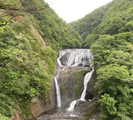 袋田の滝の写真・動画_image_800229