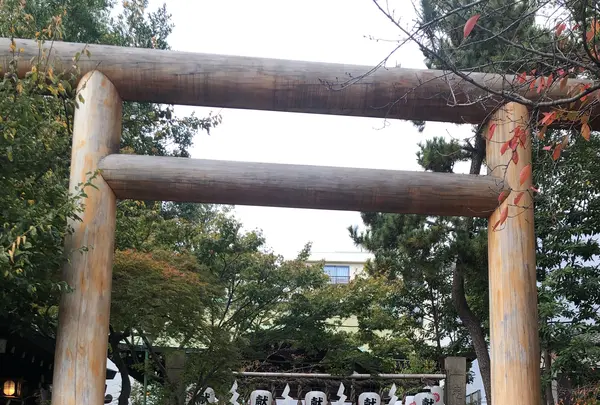 堀越神社の写真・動画_image_846684