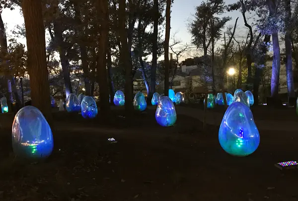 武蔵野樹林パークの写真・動画_image_850907