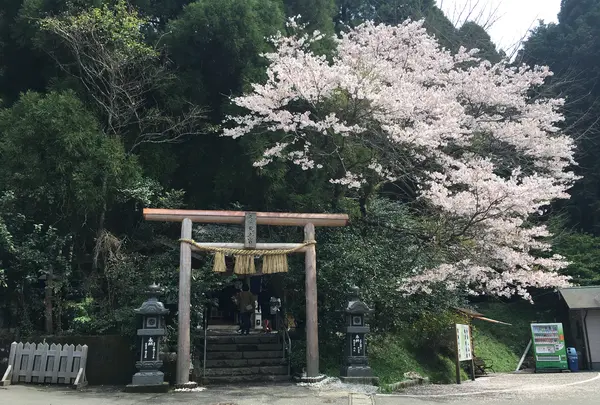 荒立神社の写真・動画_image_868584