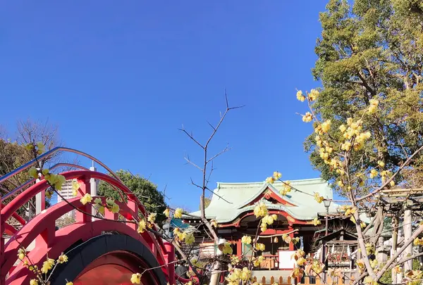 亀戸天神社の写真・動画_image_878288