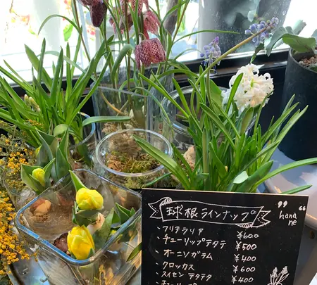 hananeの写真・動画_image_882791